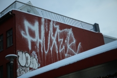 REYKJAVIK (29)