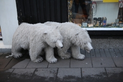 REYKJAVIK (33)