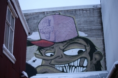 REYKJAVIK (47)
