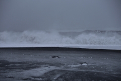 REYNISFJARA-HALSANEFSHELLIR (10)