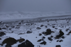 REYNISFJARA-HALSANEFSHELLIR (15)