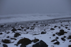 REYNISFJARA-HALSANEFSHELLIR (16)