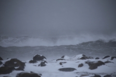 REYNISFJARA-HALSANEFSHELLIR (25)