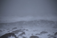 REYNISFJARA-HALSANEFSHELLIR (26)
