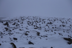 REYNISFJARA-HALSANEFSHELLIR (35)