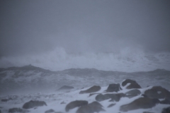 REYNISFJARA-HALSANEFSHELLIR (5)